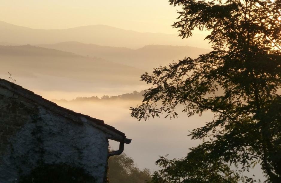 Villa Casa Lucia à Motovun Extérieur photo